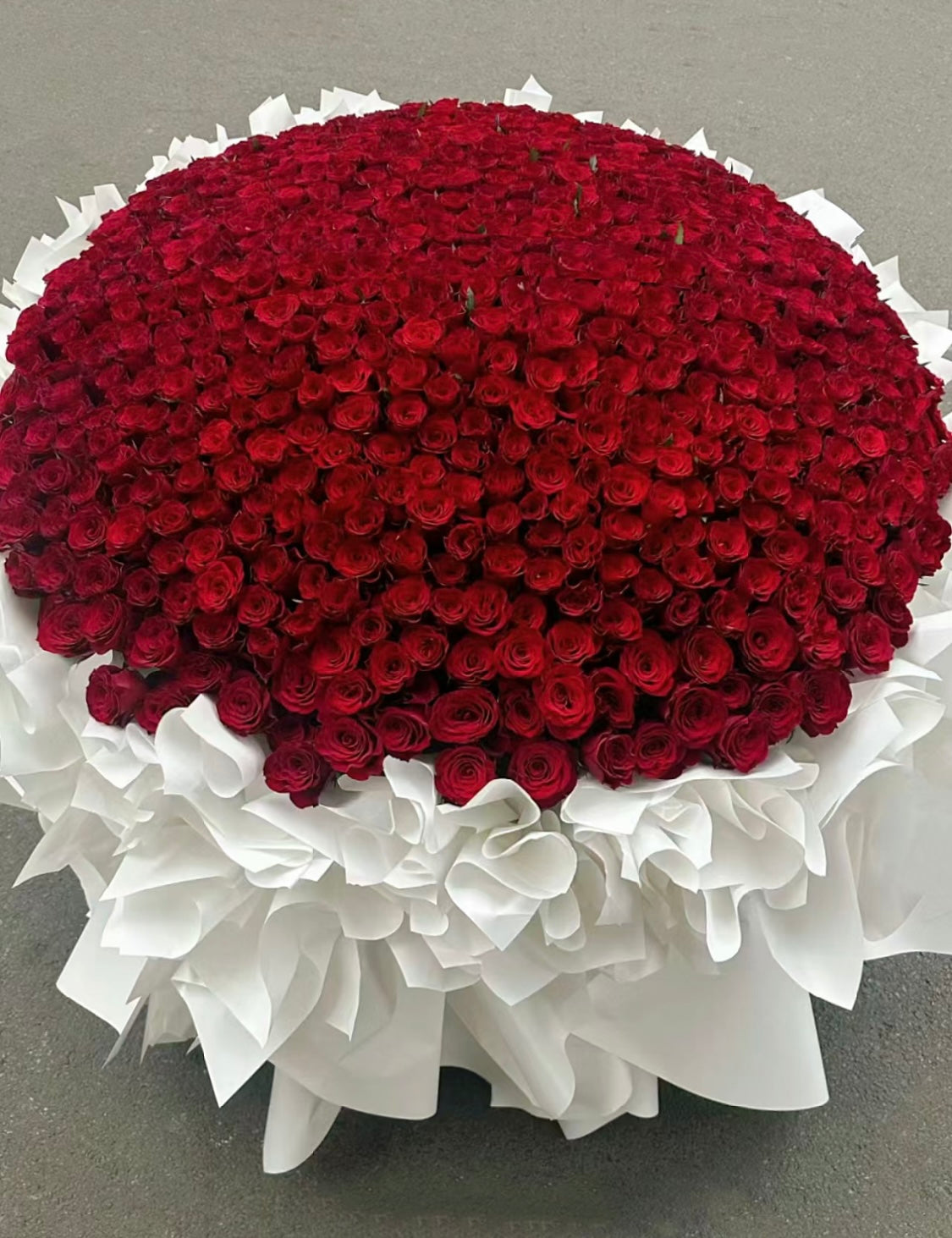 999枝經典紅玫瑰花束