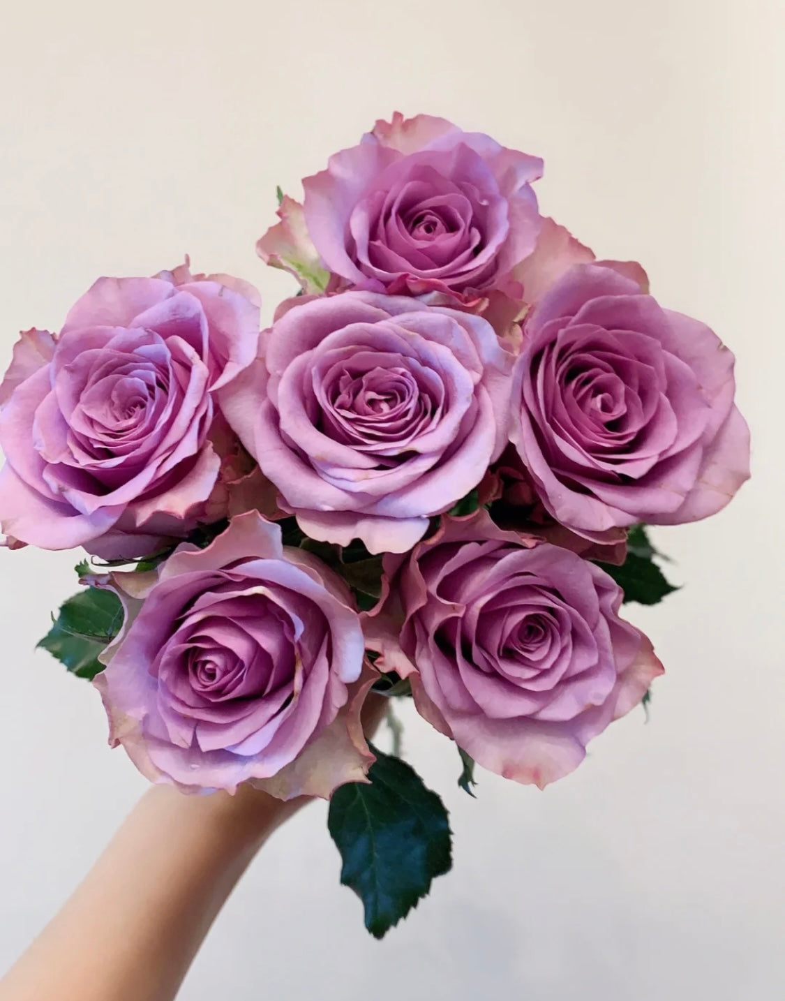 01-紫色玫瑰（20枝）