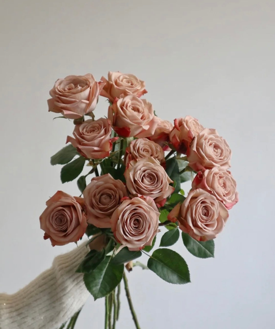 01-奶茶色玫瑰（20枝）