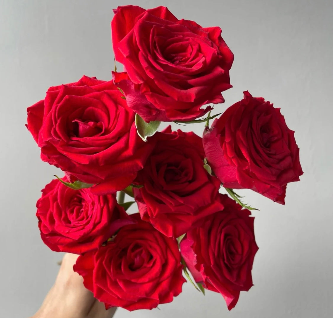 玫瑰是一種充滿浪漫和熱情的花卉，常被用於表達愛情和情感。它們有著各種顏色的花瓣，包括紅色、粉紅色、白色、黃色等，每種顏色都有著不同的象徵意義。紅玫瑰象徵熱情和愛情，粉紅玫瑰象徵浪漫和感謝，白玫瑰象徵純潔和祝福，黃玫瑰象徵友情和關懷。玫瑰還有著迷人的香氣，可以為房間帶來浪漫和溫馨的感覺。玫瑰是一種非常適合用於送給情人和摯愛的花卉禮物。送給摯愛一束玫瑰，表達你的愛情和情感。立即下單，讓玫瑰的美麗和熱情，為你帶來浪漫和幸福。