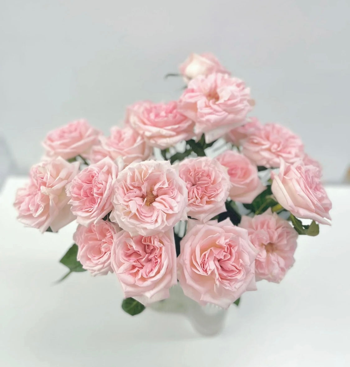 03-粉紅色玫瑰（20枝）