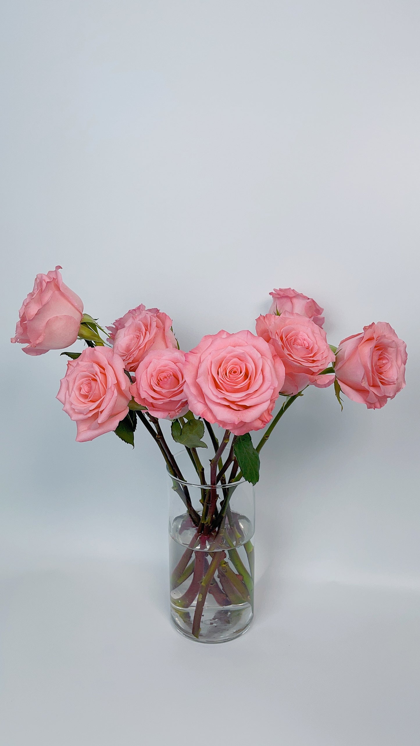 02-粉紅色玫瑰（20枝）